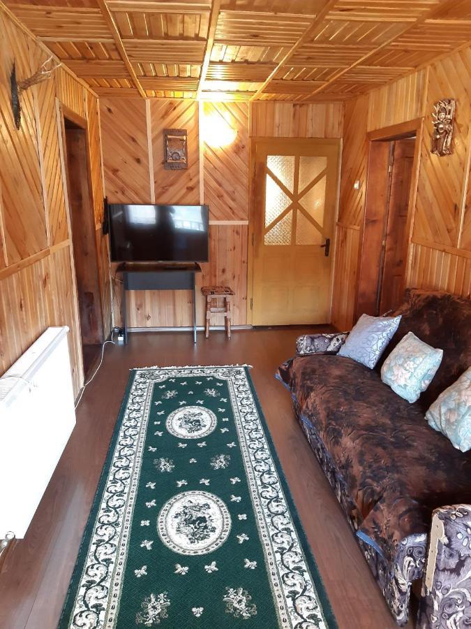 Villa Casa Dorina à Bran  Extérieur photo