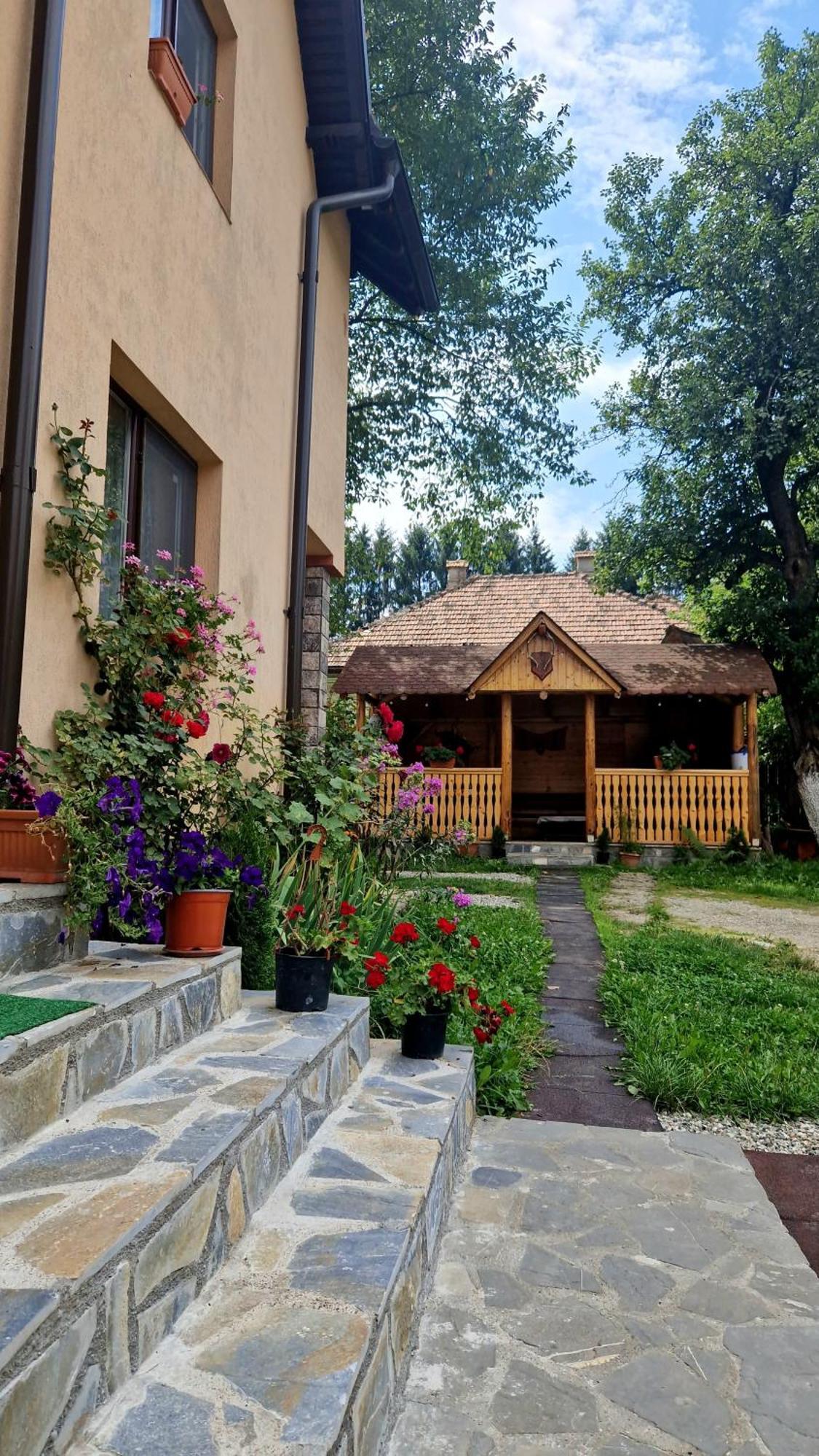 Villa Casa Dorina à Bran  Extérieur photo