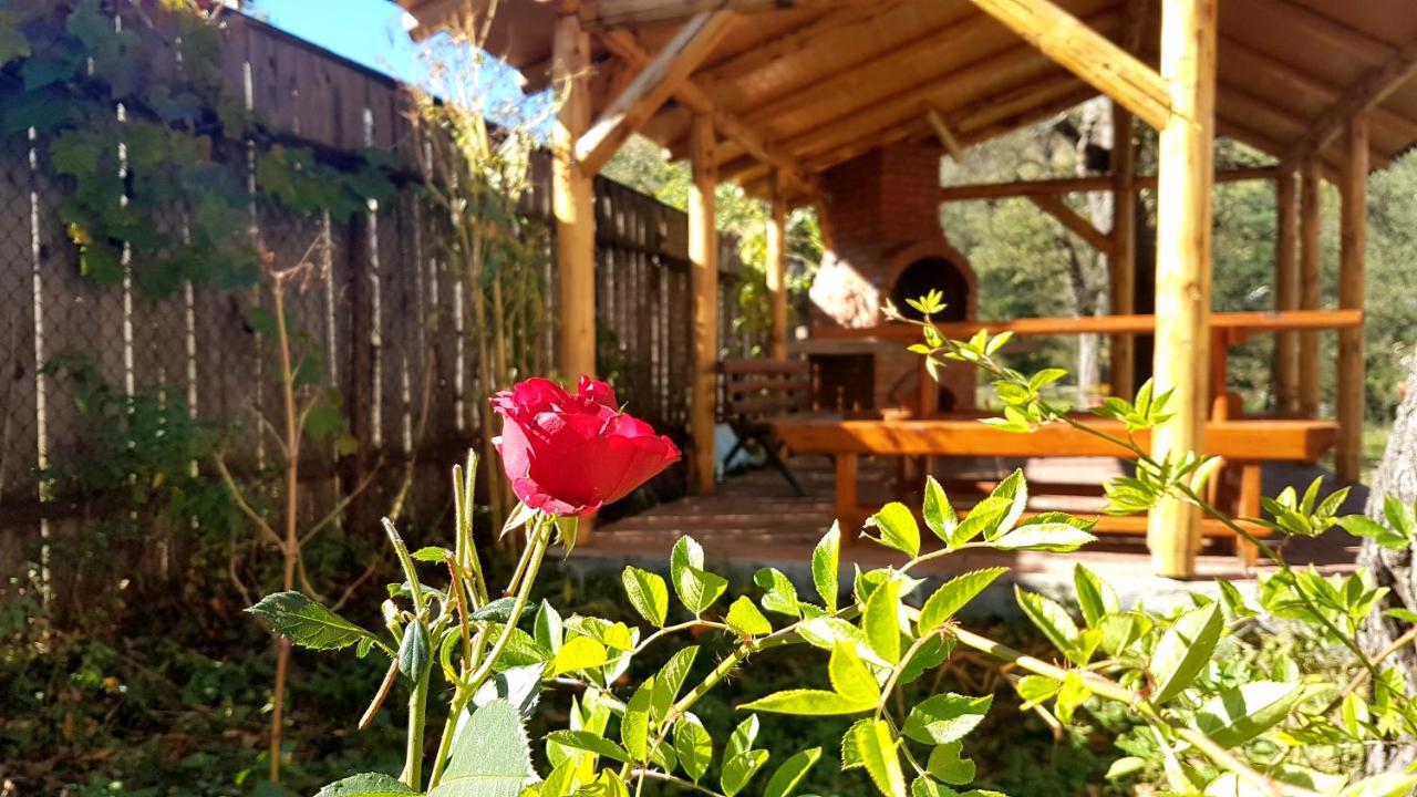 Villa Casa Dorina à Bran  Extérieur photo